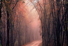 下一个恒大?中甲再迎银河战舰:全队身价已超多支中超球队!.