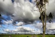 开场2分钟闪击,波利塔诺当选那不勒斯vs米兰全场最佳.