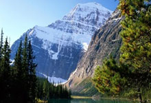 意大利杯16强赛:体育米兰大胜萨索洛挺进复赛.