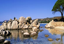 埃贝尔:不认为失误会影响乌尔比希自信,他必须面对这些问题.